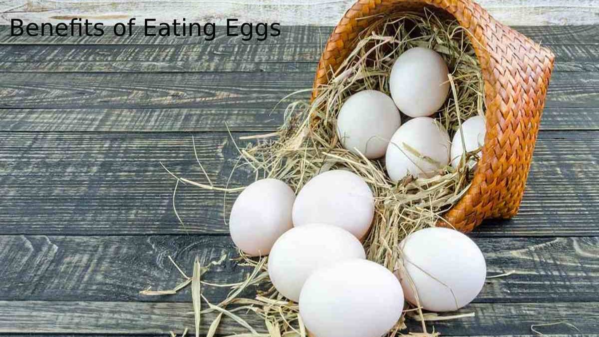 Benefits of Eating Eggs , Vitamins And Minerals ,and More