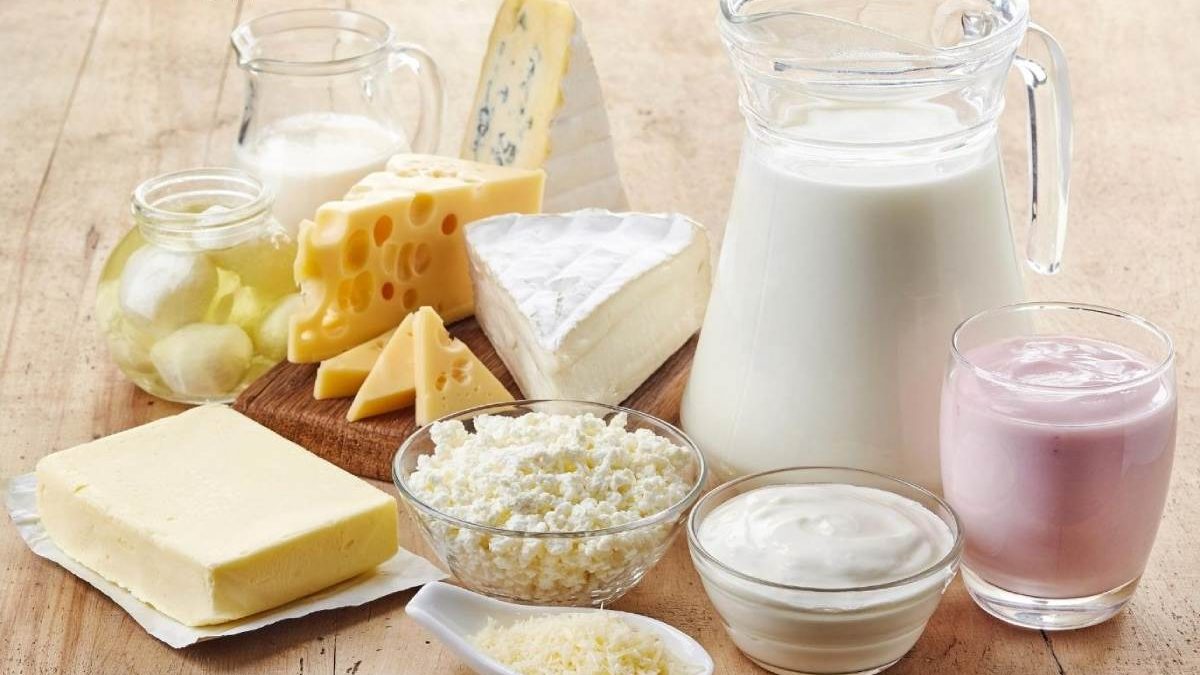 Dairy products , Types and Features ,and More