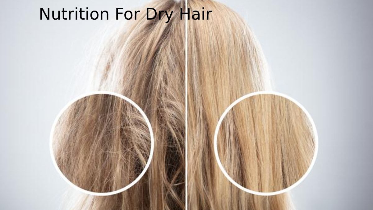 Nutrition For Dry Hair