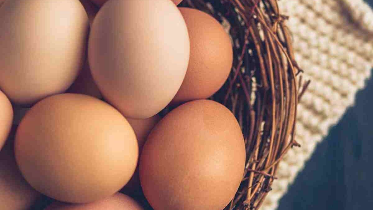 Benefits of Eating Eggs , Vitamins And Minerals ,and More