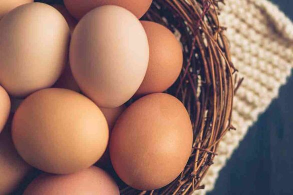 eggs