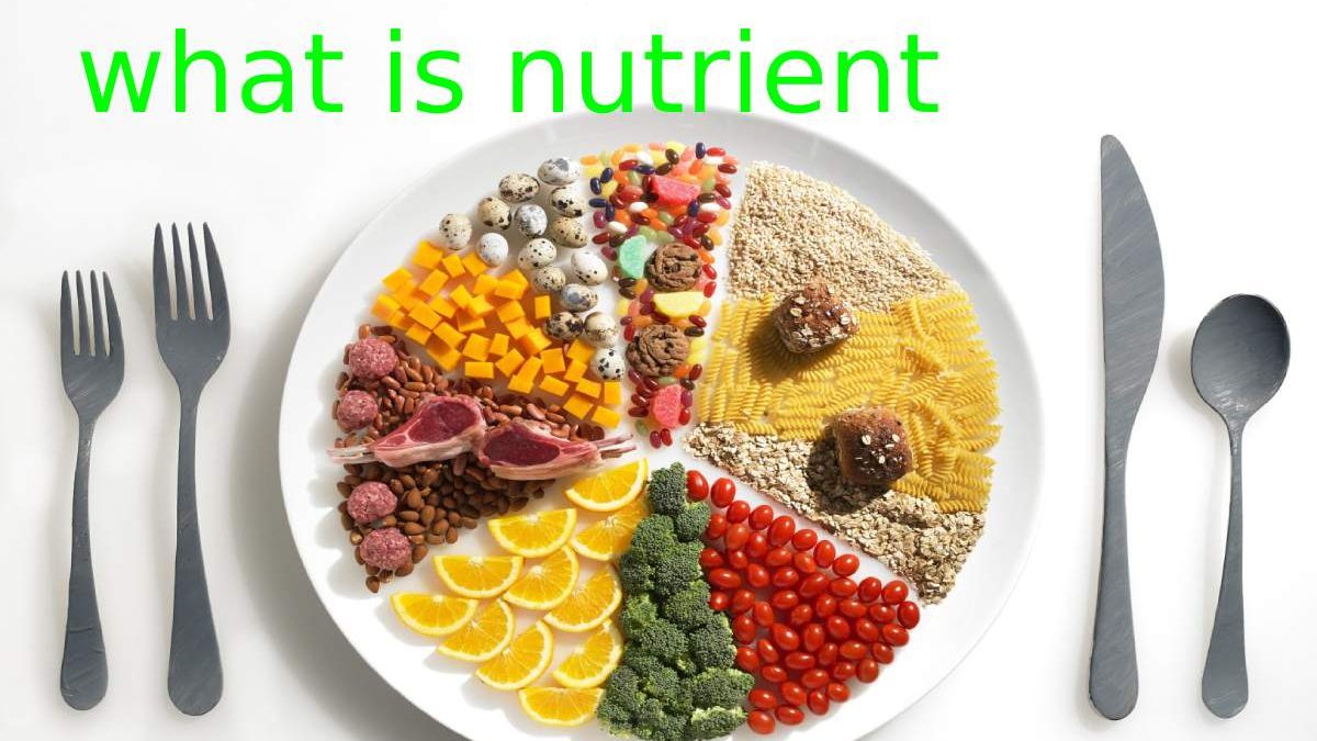 What is Nutrients – Nutritional Properties, and More