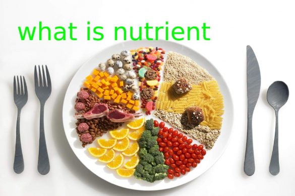 what is nutrient