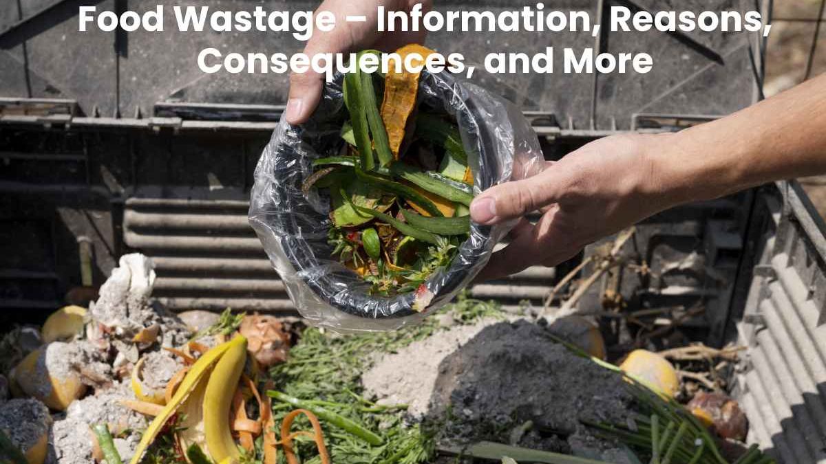 Food Wastage – Information, Reasons, Consequences, and More