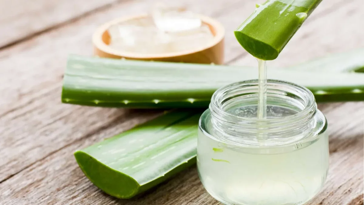 Aloe Vera Uses For Beauty