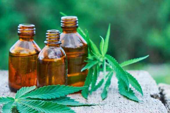 cbd increase motivation