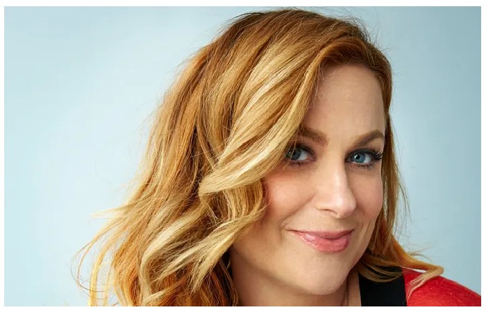 Who is Amy Poehler_
