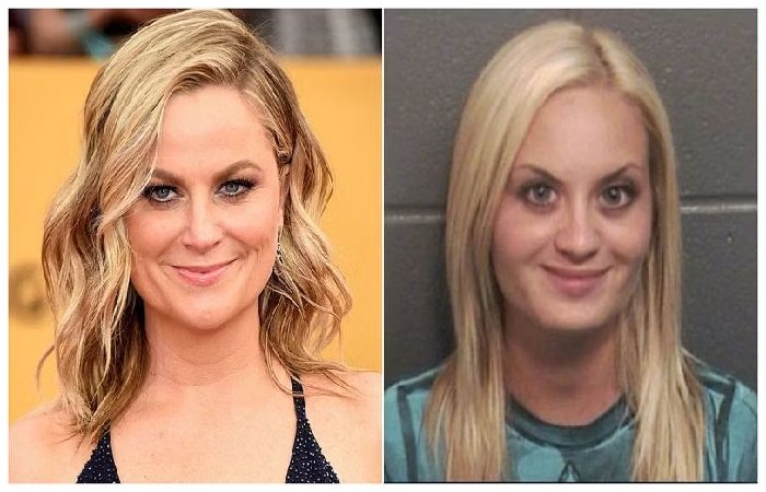Who is the look-Alike of Amy Poehler_