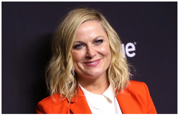 Why did Amy Poehler and here look-alike were trending on twitter_