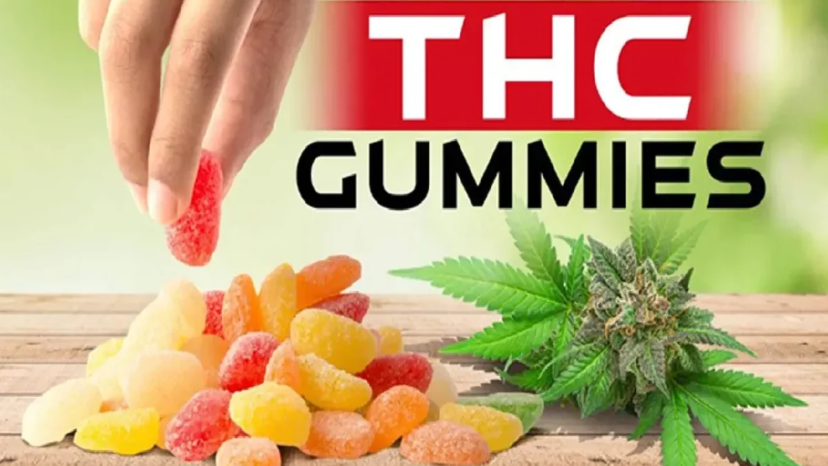 Why are THC Gummies Gaining Attention Among the Youth?