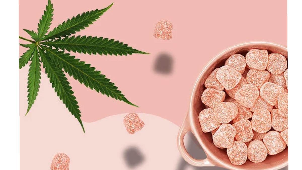 Why Are THC Gummies Gaining Attention Among The Youth?