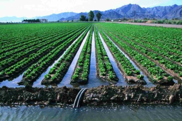 water management on an areage