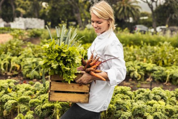 Local Farm to Table Movements |