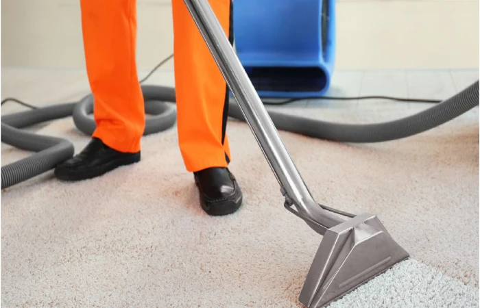 The Essentials of Routine Carpet Care