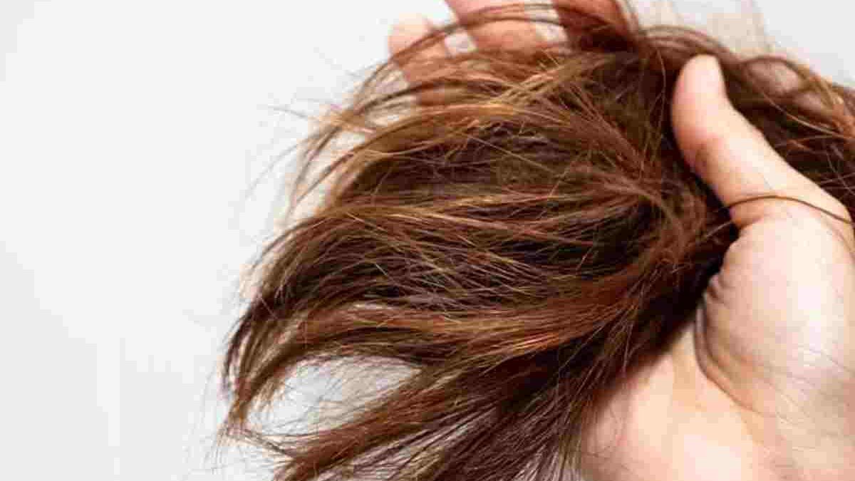 Nutrition For Dry Hair – 2024