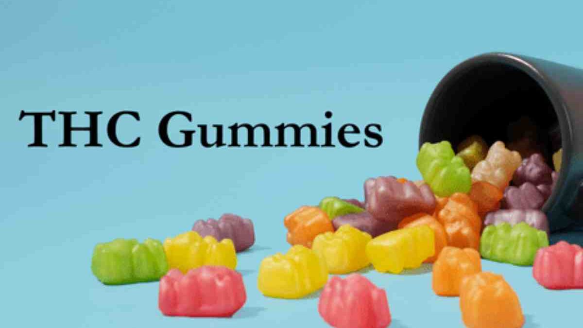 Why are THC Gummies Gaining Attention Among the Youth?