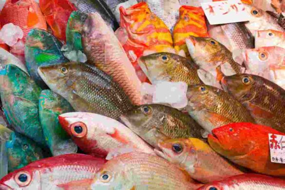 sustainable seafood