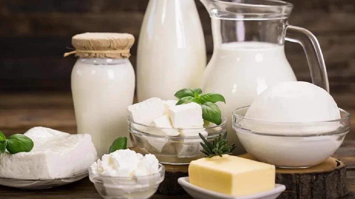 Dairy products , Types and Features ,and More