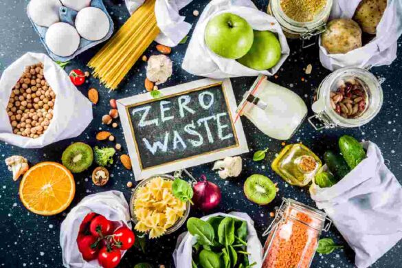 Food Wastage – Information, Reasons, Consequences, and More
